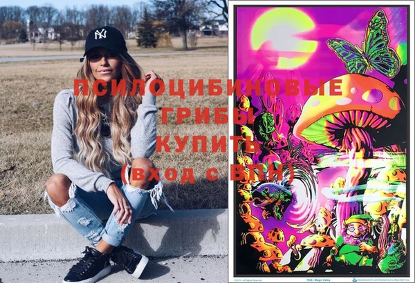 бутират Каменногорск