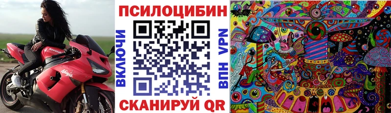 Купить  Заозёрный  Псилоцибиновые грибы MAGIC MUSHROOMS 